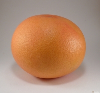 Citrus x aurantium -- Grapefruit